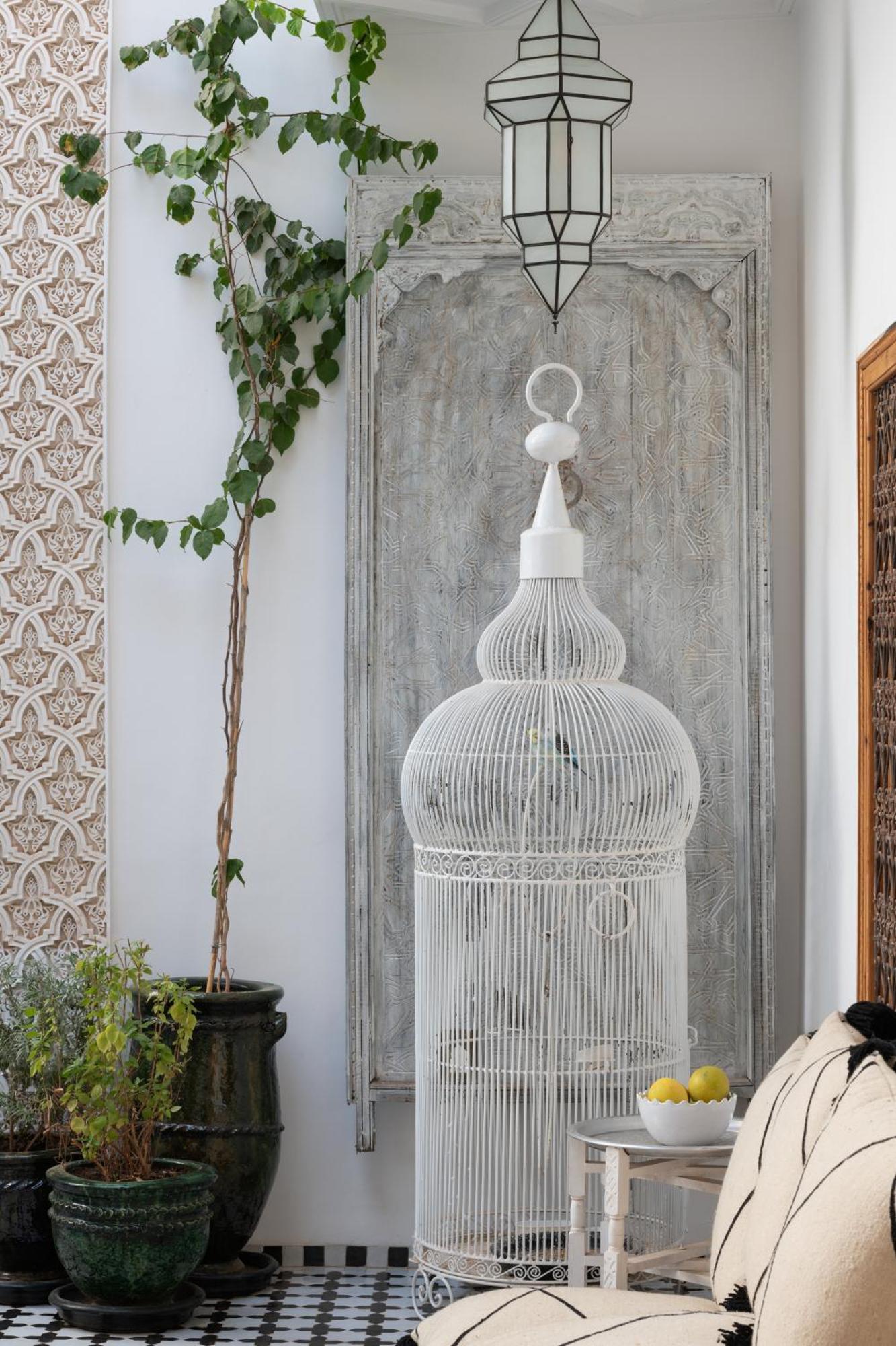 Riad Botanica マラケシュ エクステリア 写真