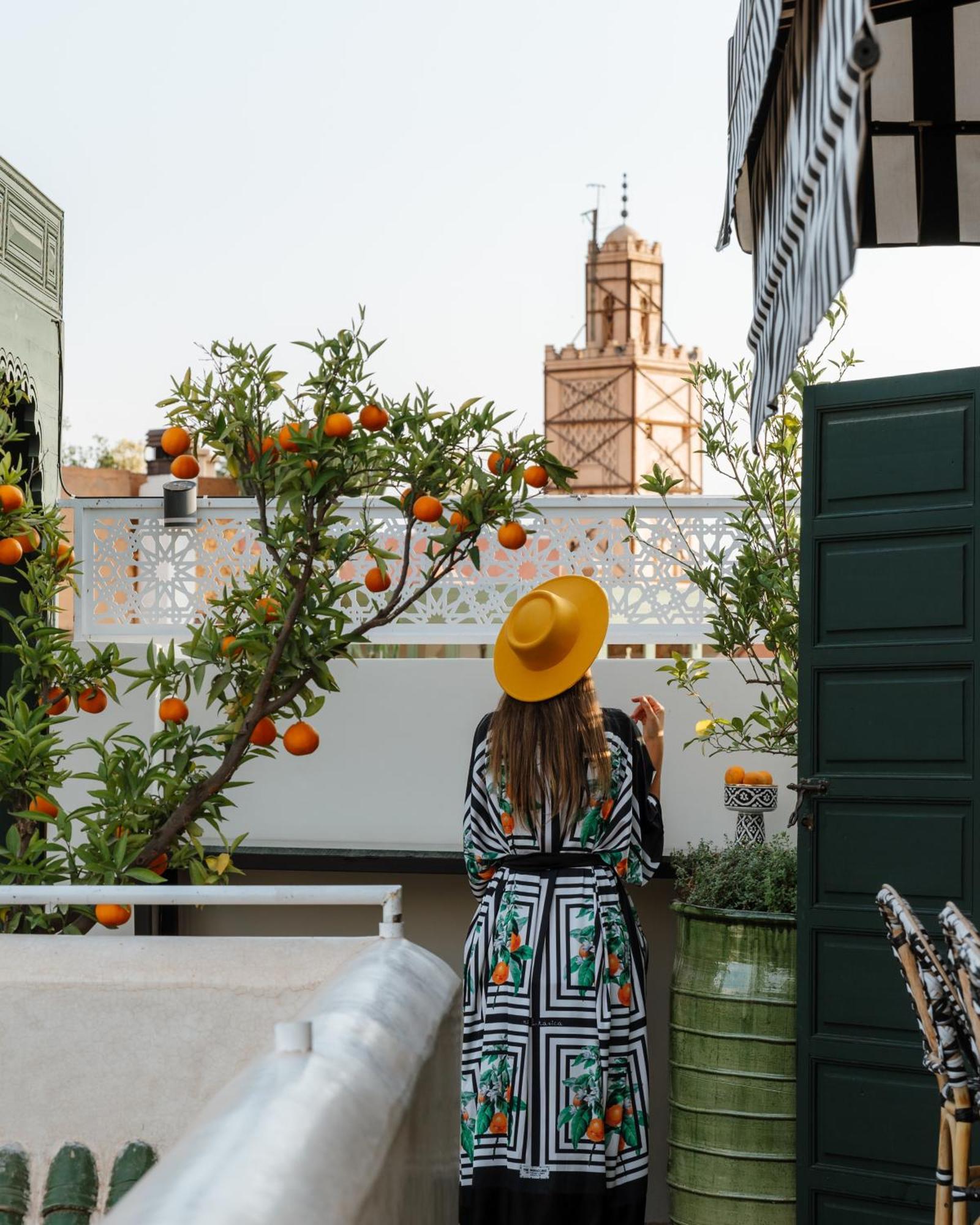 Riad Botanica マラケシュ エクステリア 写真